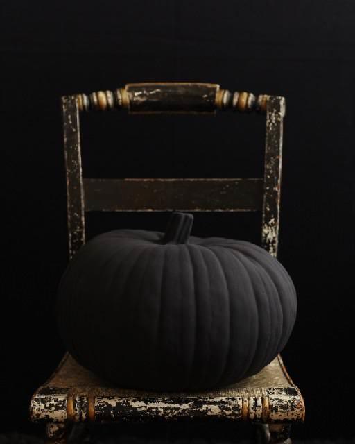 black halloween pumpkin