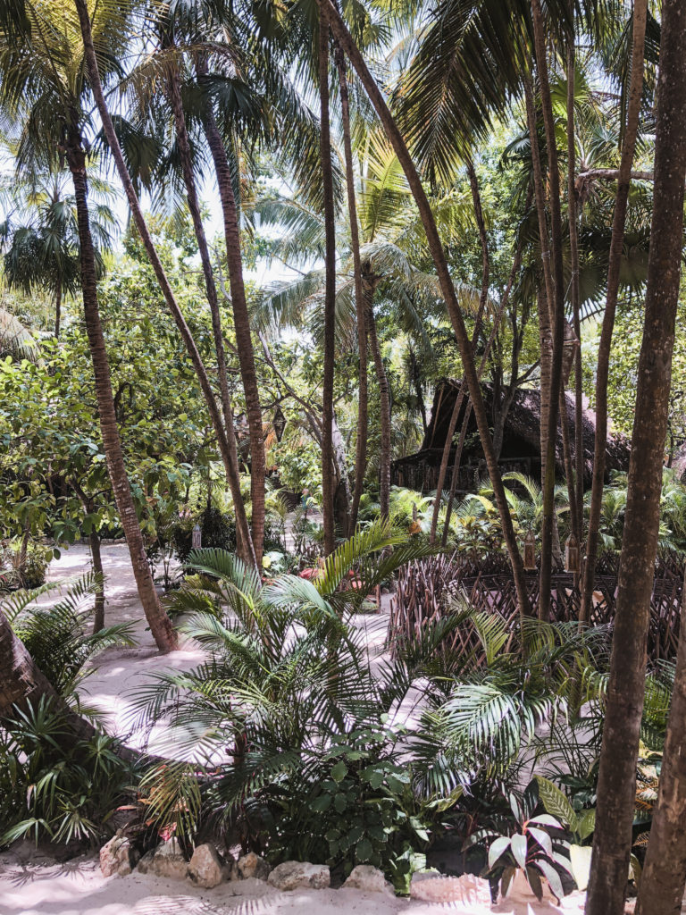 Nomade Tulum Mexico jungle