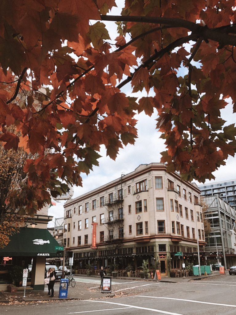 Portland Oregon Fall Colors