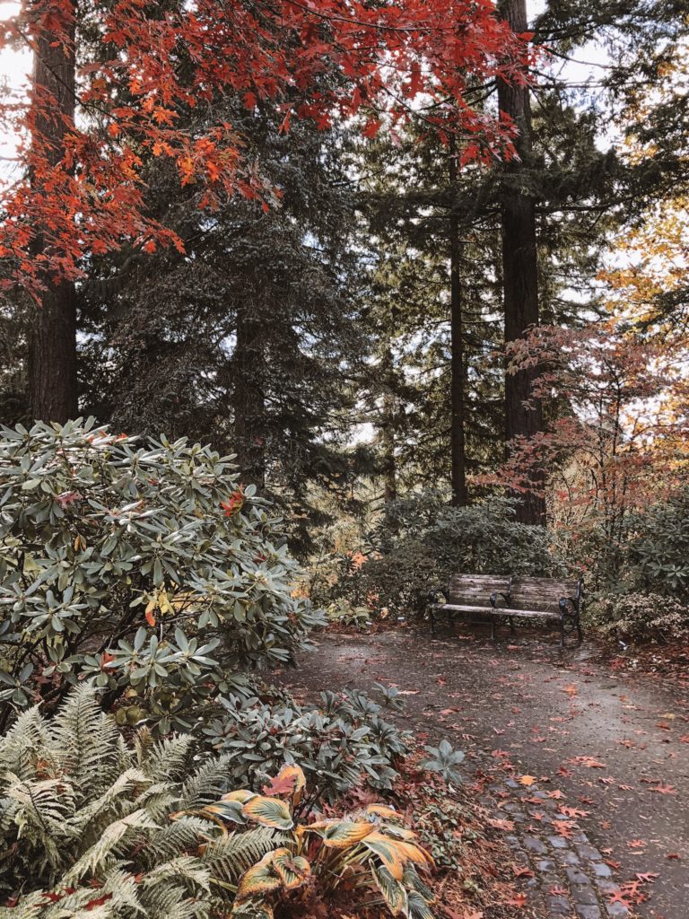 Washington Park - A must visit in Portland