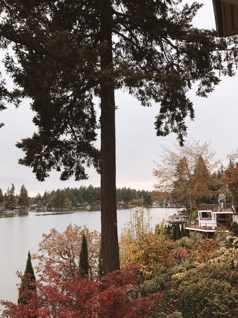 Lake Oswego Views, Oregon